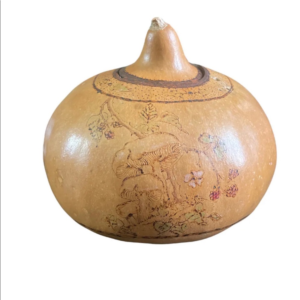Vintage Gourd~ Decorative~Mushrooms~ Unusual ￼